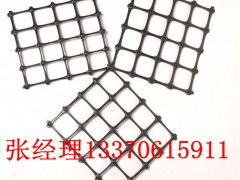 廣東鋼塑復合土工格柵廠家 中國泰安工程材料