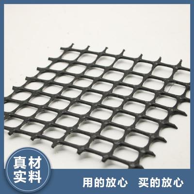 鋼塑土工格柵