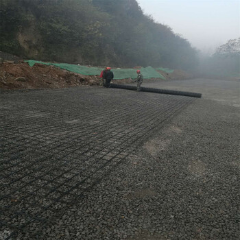 鋼塑土工格柵鋼塑格柵路基加固擋土墻軟基處理80-80