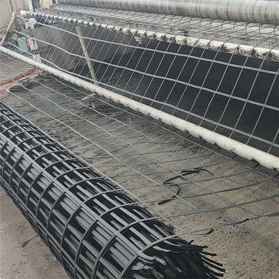 重慶鋼塑玻纖土工格柵 優(yōu)質(zhì)制售與工程應(yīng)用解析